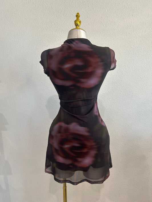 MILEY MESH DRESS