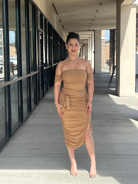 ALINA MESH MIDI DRESS