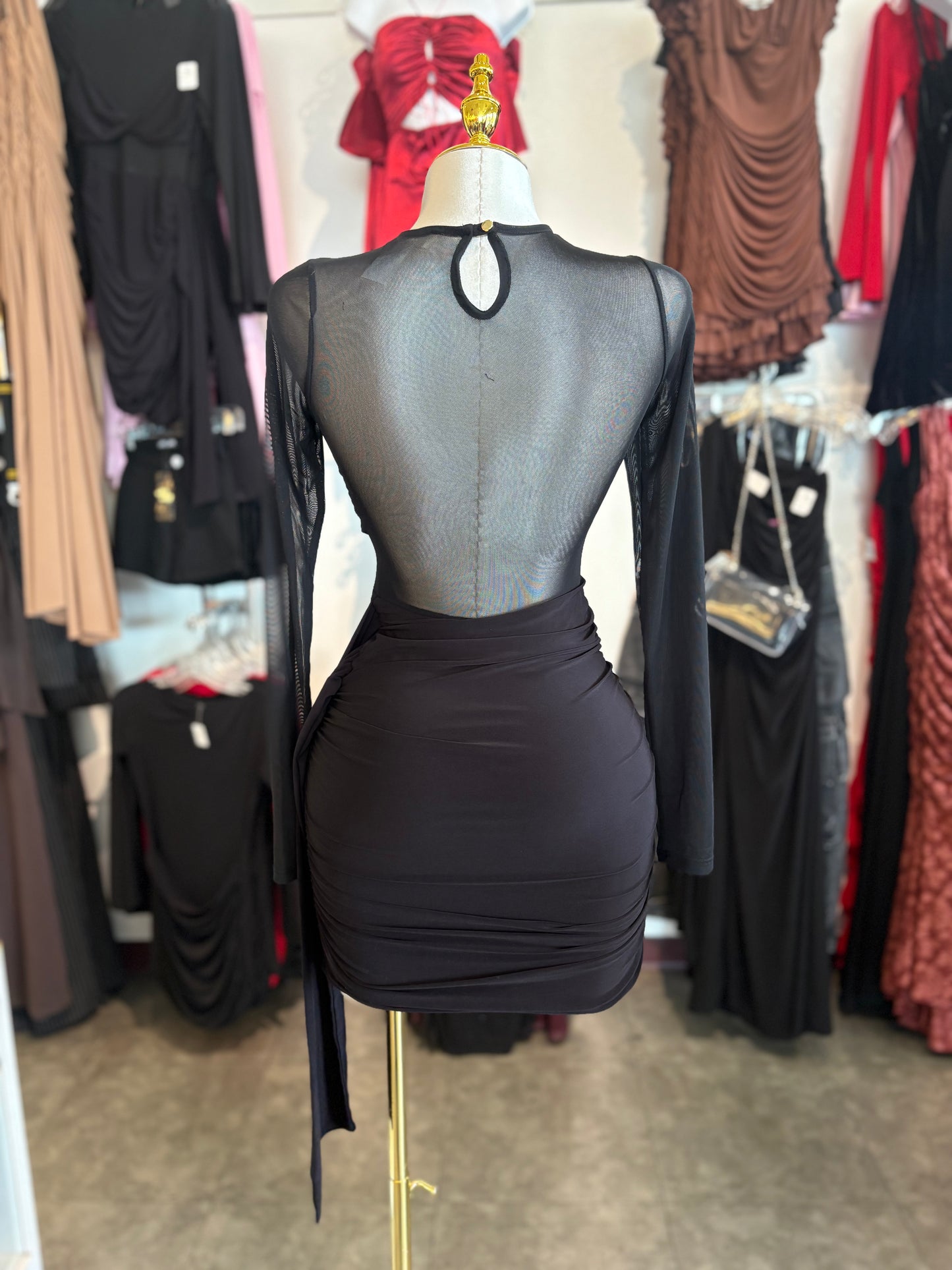 Sherlyn Mesh Dress