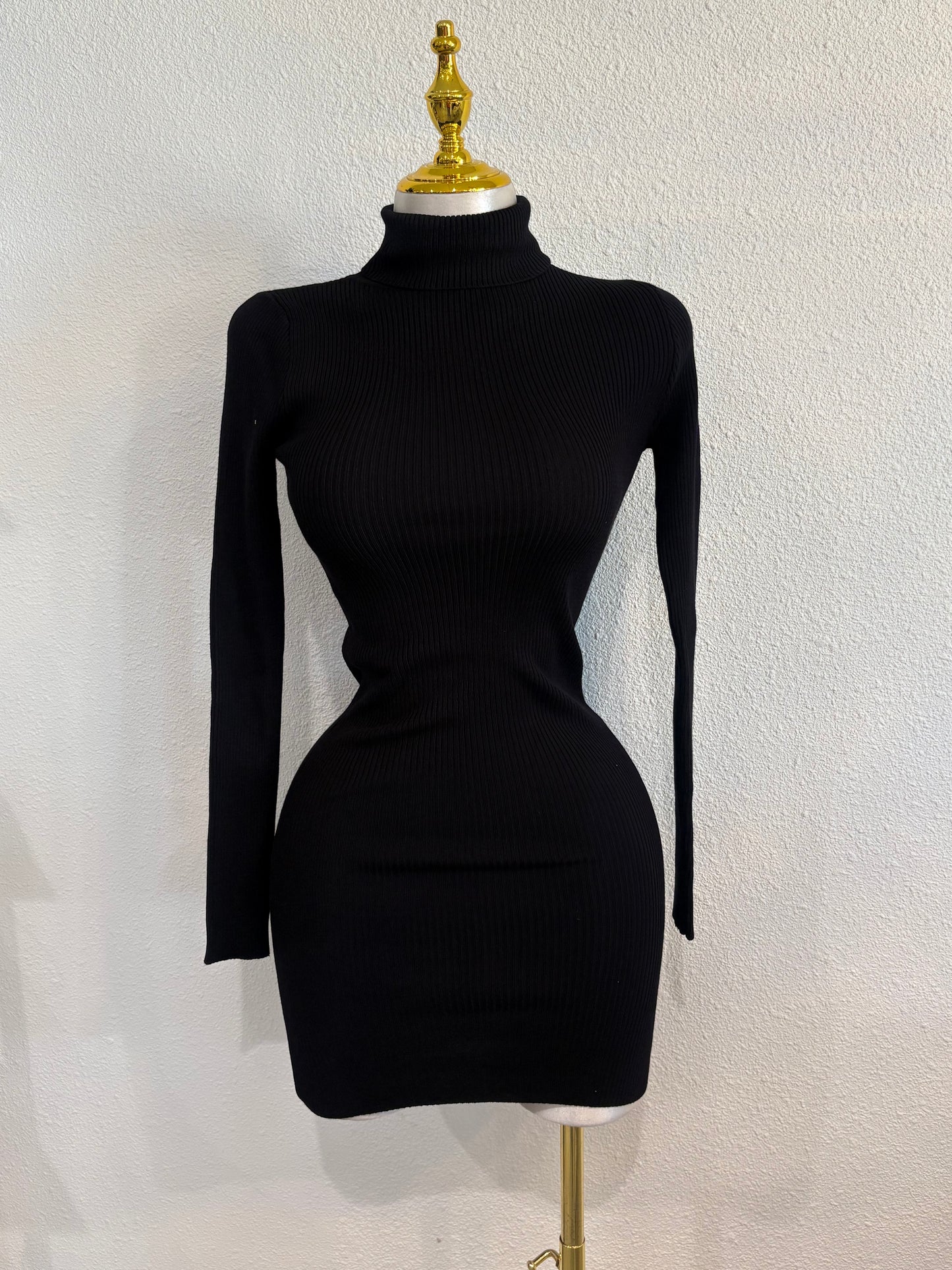 Turtle neck long sleeve dress