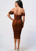 Jessi ruched mesh dress