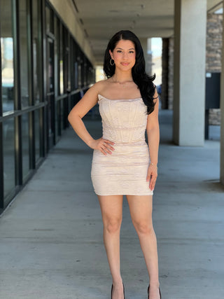 Presley lace corset mini dress