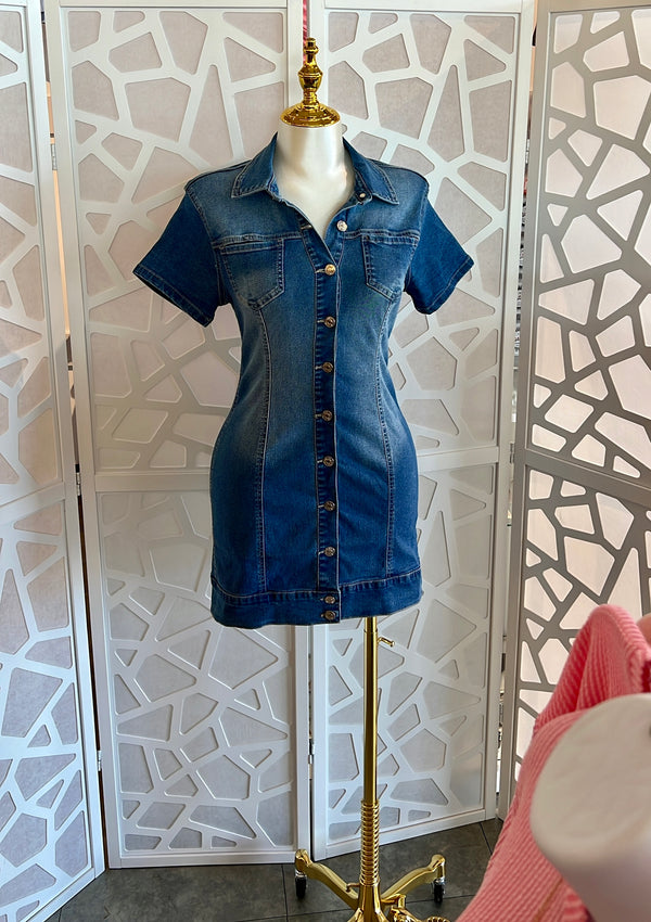 SONAR DENIM BUTTON UP DRESS