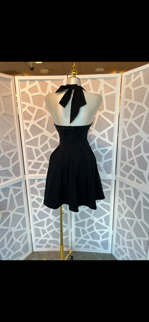 Corset Self-Tie Ribbon Zippered Dress