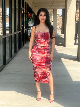 Petal whispers mesh dress