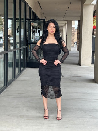 Long sleeve mesh pearl midi dress