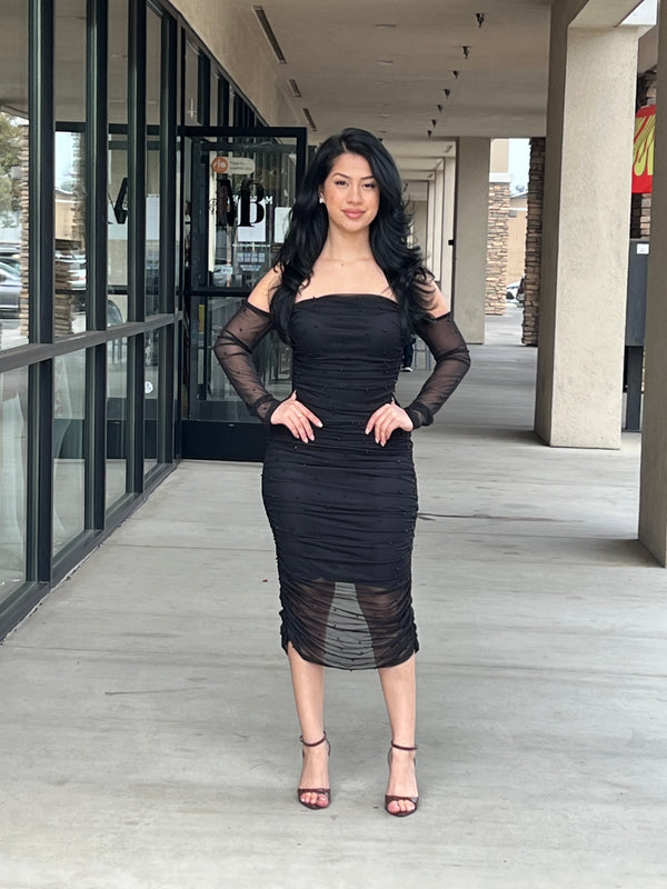 Long sleeve mesh pearl midi dress