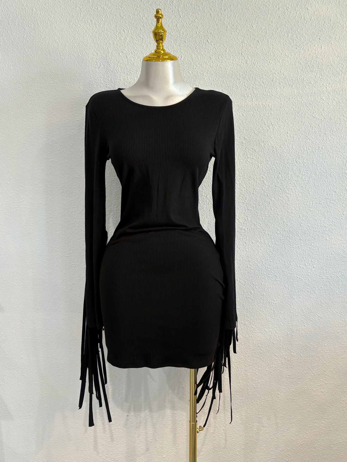 Fringe sleeves dress