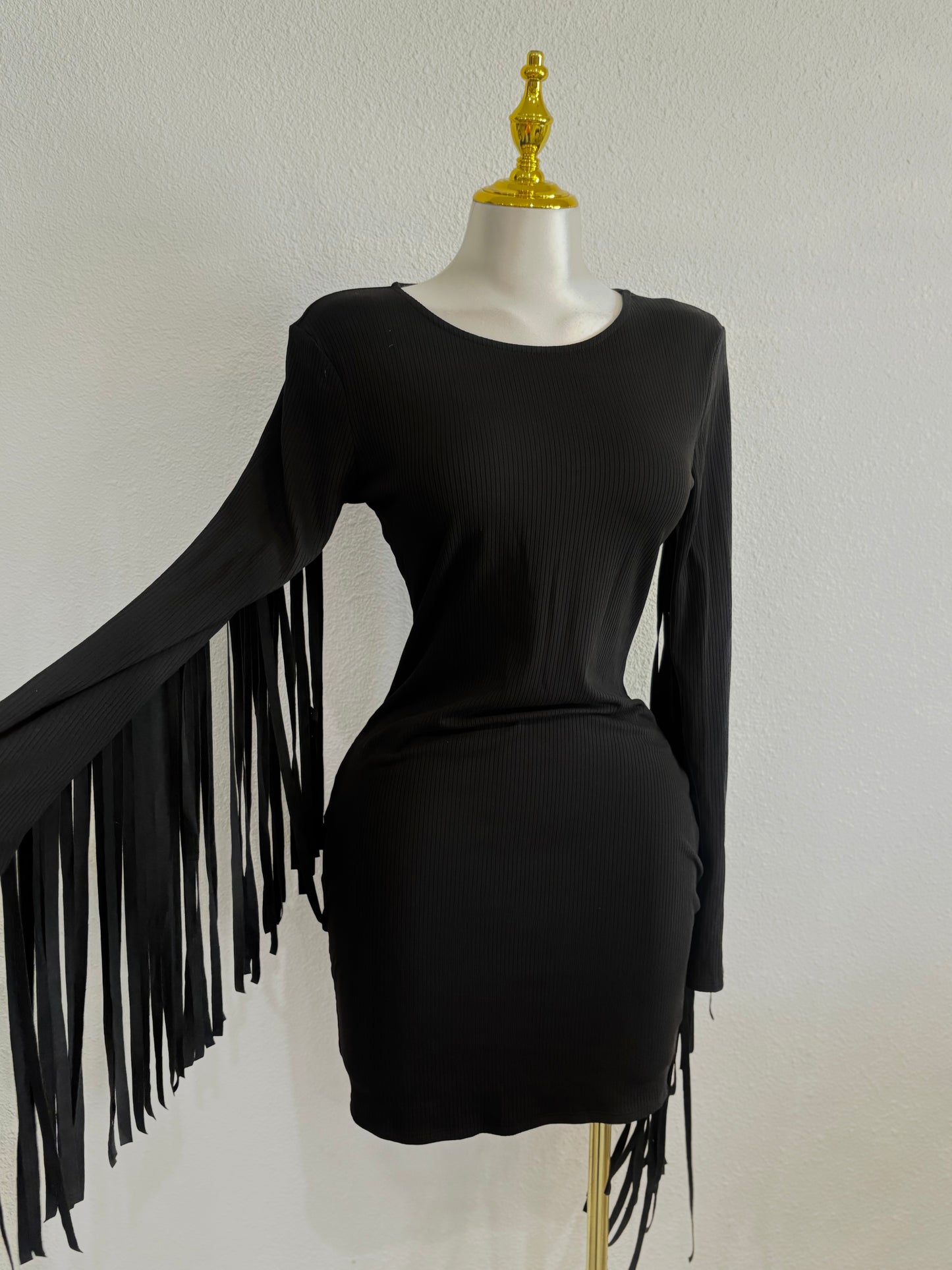 Fringe sleeves dress