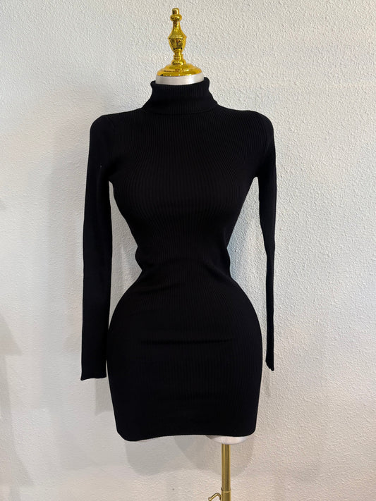 Turtle neck long sleeve dress