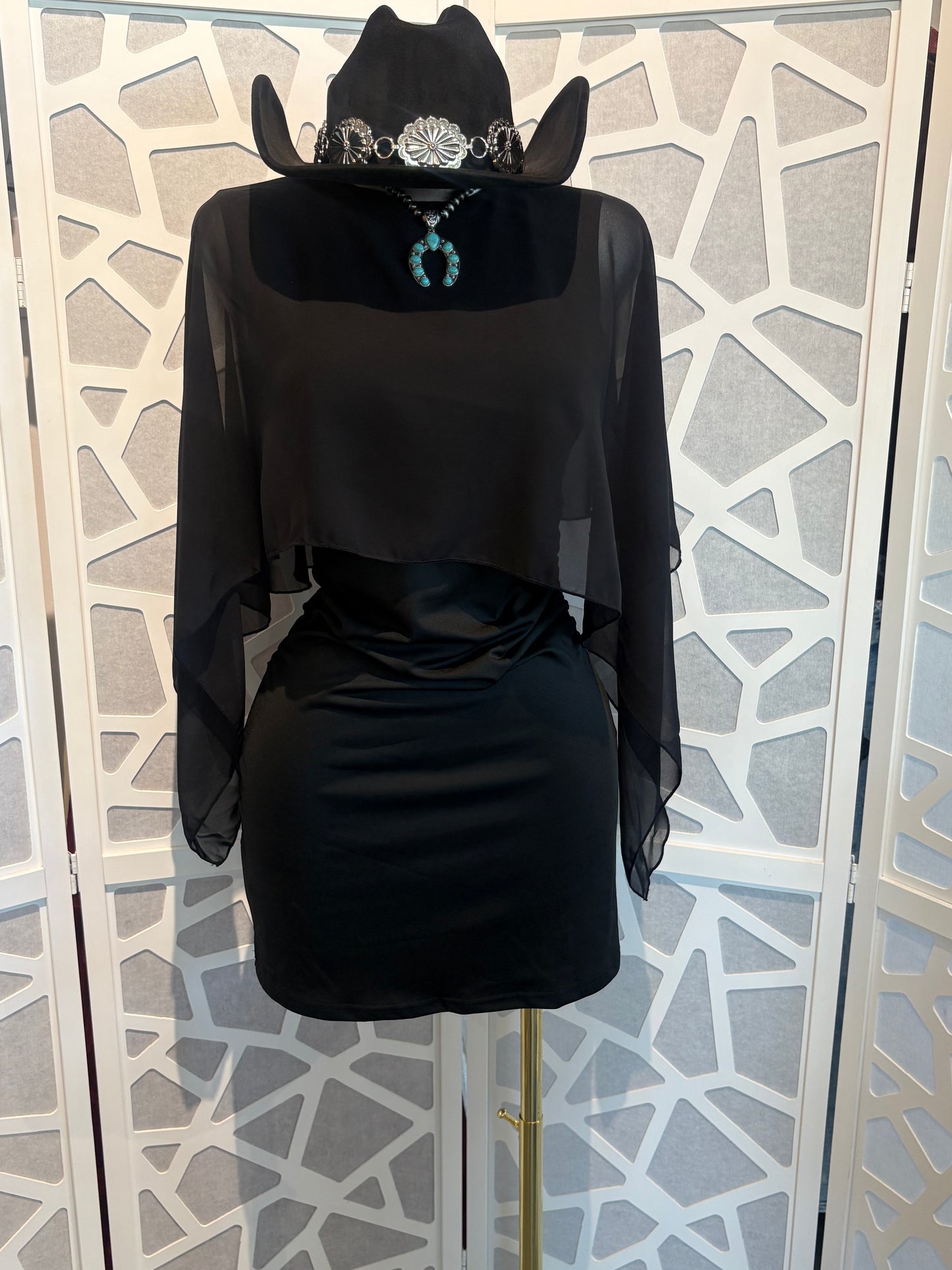 Chiffon Cape dress